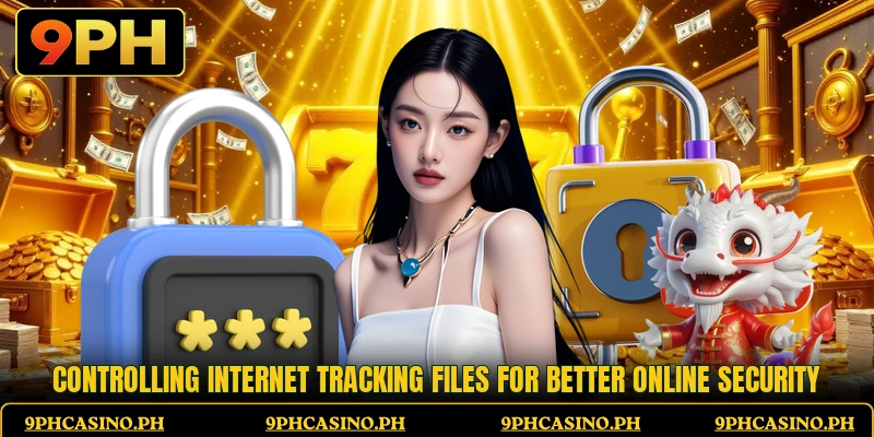 Controlling internet tracking files for better online security