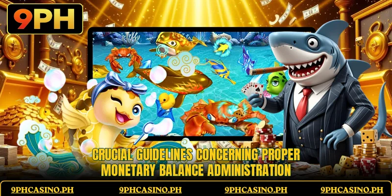 Crucial guidelines concerning proper monetary balance administration