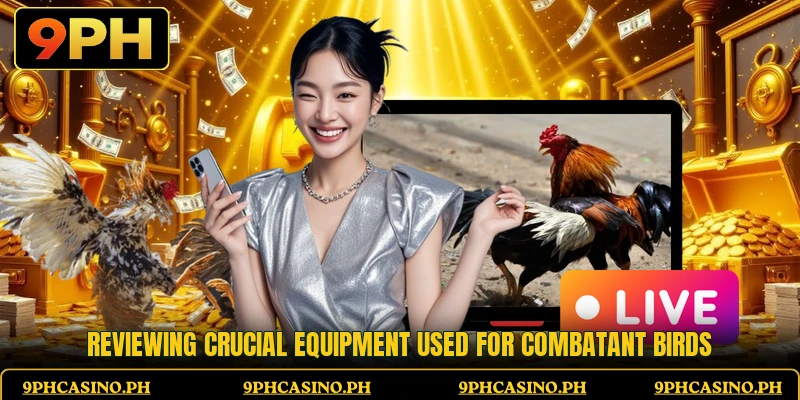 Reviewing crucial equipment used for combatant birds Reviewing crucial equipment used for combatant birds